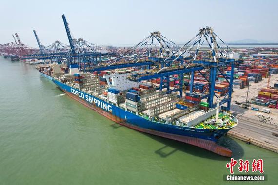 Photo taken on April 29, 2025, shows a cargo ship docks at the Nansha Port in south China's Guangzhou City. (Drone image) Photo taken on April 29, 2025, shows a cargo ship docks at the Nansha Port in south China's Guangzhou City. (Drone image)