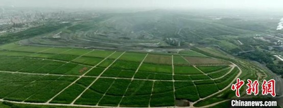 Ecological restoration at Fushun West Open-Pit Mine. (Photo by Fushun Mining Group)