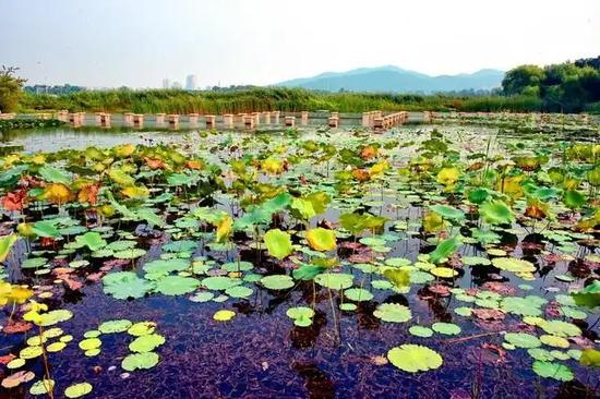 Initiative launched to restore and safeguard rivers, lakes