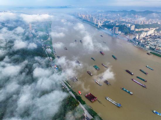 Cargo ships sail on Xijiang River