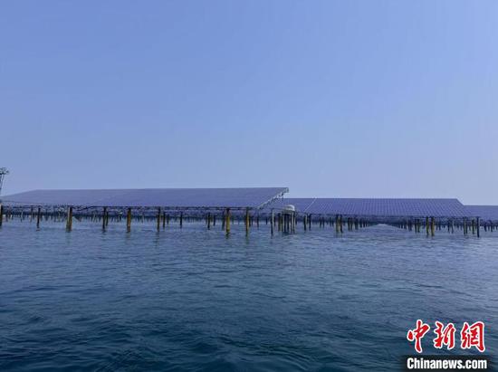 The 400-megawatt (MW) Yantai Zhaoyuan offshore solar farm, located in the Laizhou Bay in Shandong province, has successfully commenced full-capacity power generation, May 27, 2025. (Photo provided to China News Service)