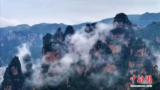 'Avatar' mountains in Zhangjiajie enveloped in clouds