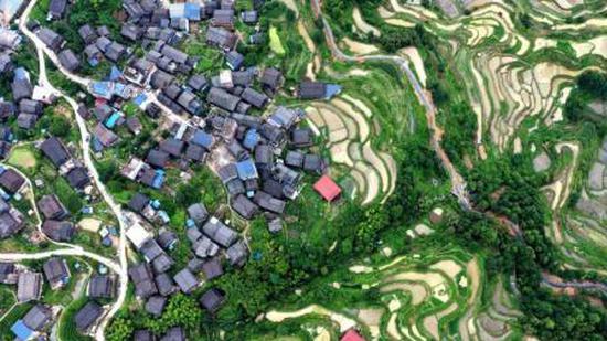 South China launches two-year agricultural assistance program in Cambodia