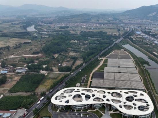 Shandong report blames multiple parties for poisoning accident