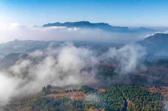 China now an intl model for tackling desertification