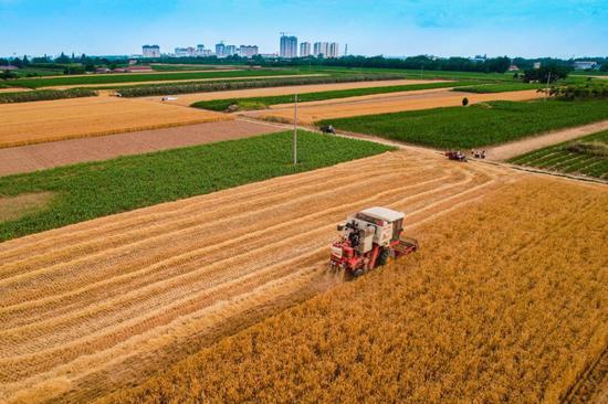 Balancing farmland protection, development