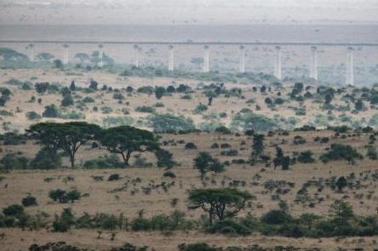 Kenya hopes to increase rice production with China's help