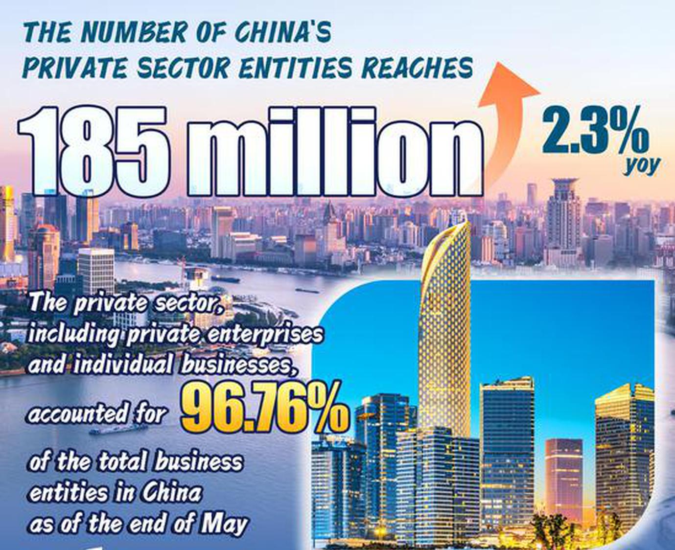 China sees increasing number of private sector entities