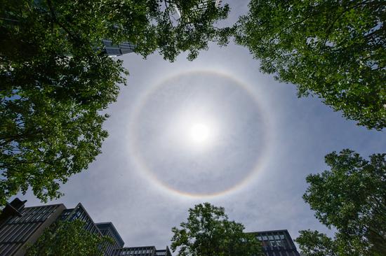 Spectacular sun halo appears over Shanghai