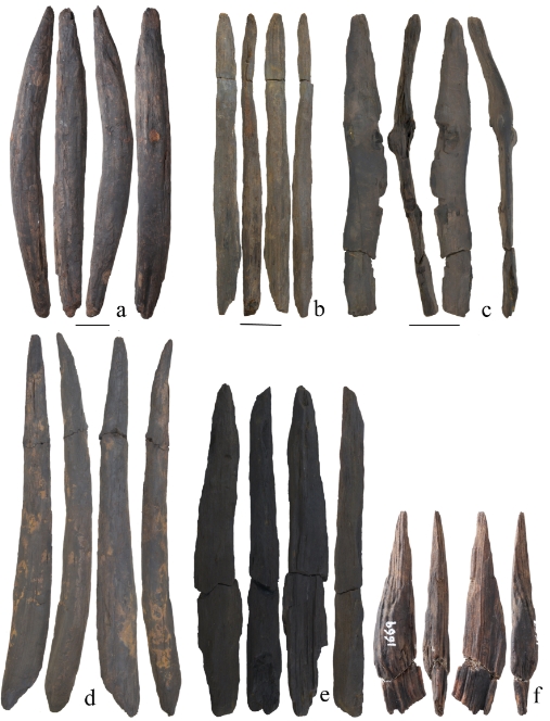Some wooden tools unearthed from the Gantangqing site in Southwest China Yunnan Province. (Photo/Courtesy of the archaeological team of the site)