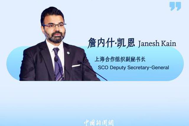 Insights丨Global guests hail SCO for encouraging integration, exchanges and cooperation
