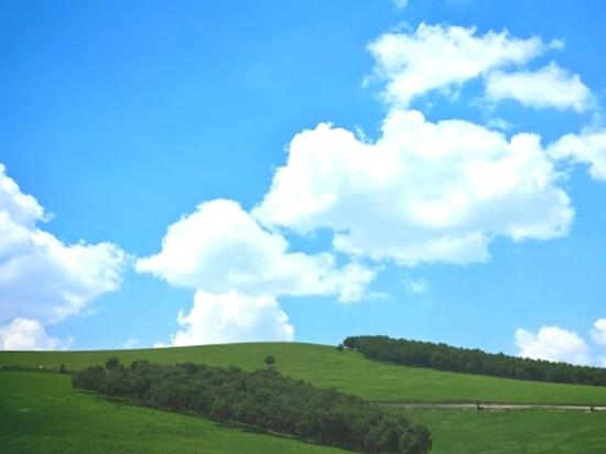 China sees marked improvement in ecological quality of grasslands