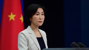 Foreign Ministry: China to work with all parties to promote, protect all human rights