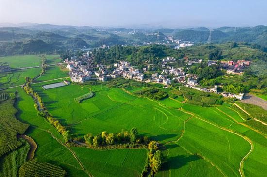 Summer scenery of farmlands in Guizhou