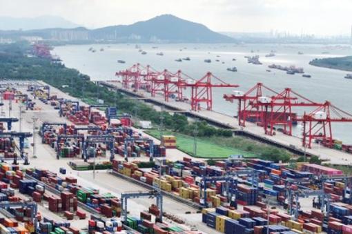 Resilience, innovation and adaptability shaping exports