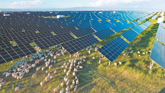 Herders in Qinghai province are boosting their income by raising "solar sheep" and taking on roles in power station upkeep, from cleaning solar panels to providing security. [Photo provided to China Daily]