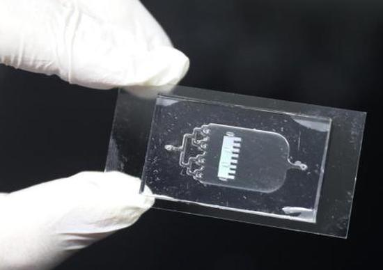 'Golden' chip production gets boost