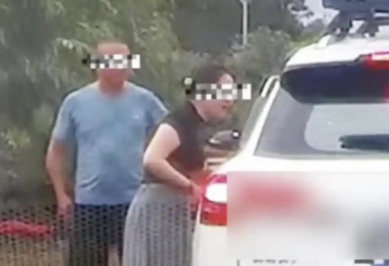Probe reveals woman flashed husband's credentials to bully motorist