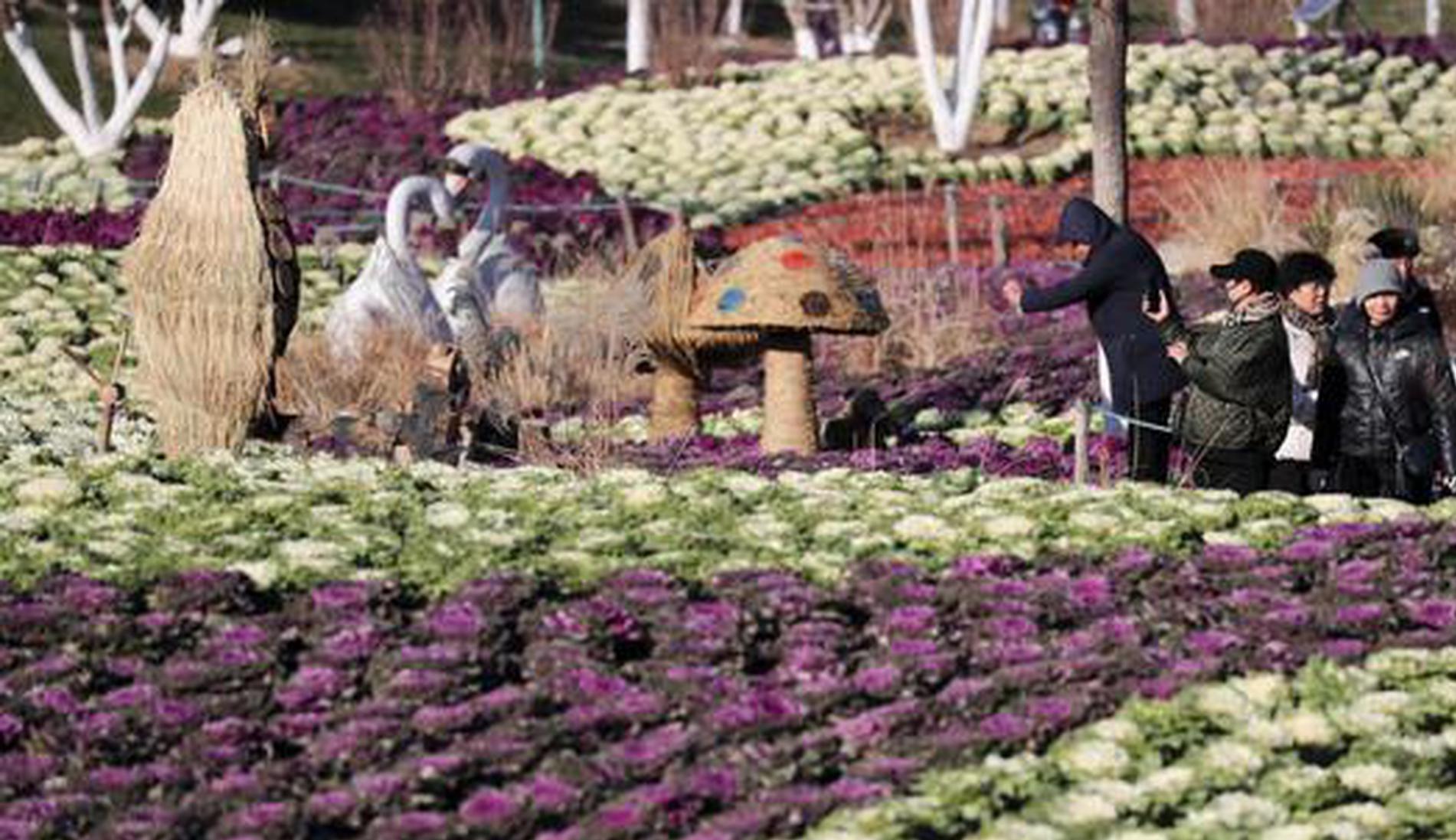 Calling kale beverages 'slim' raises eyebrows