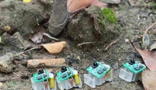 Chinese scientist creates ultra-resilient soft robot that survives 108-meter falls