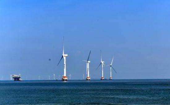 China issues guideline to advance low-carbon transition, strengthen national carbon trading market