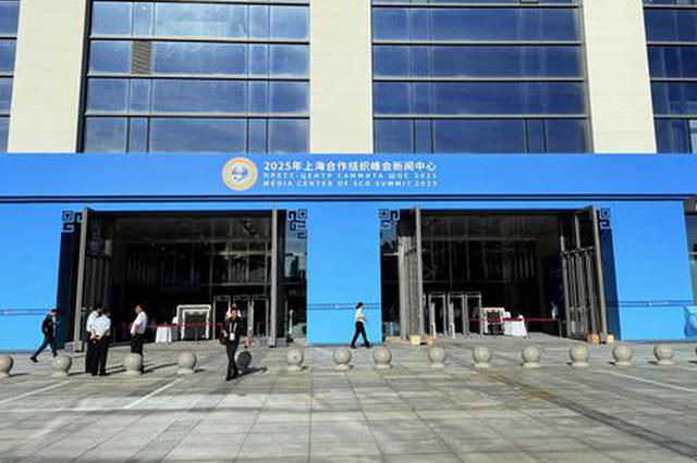 Former SCO secretary-general: SCO injects positive energy into global governance