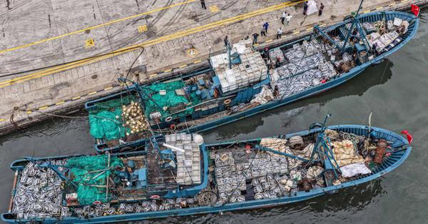 Autumn fishing boats return with full loads in east China
