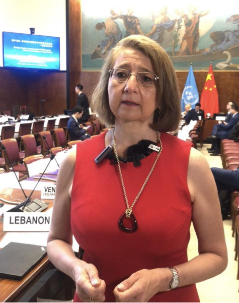 Luz Maria de la Mora, Director of the Division on International Trade and Commodities at UN Trade and Development (UNCTAD). (Photo/China Daily)