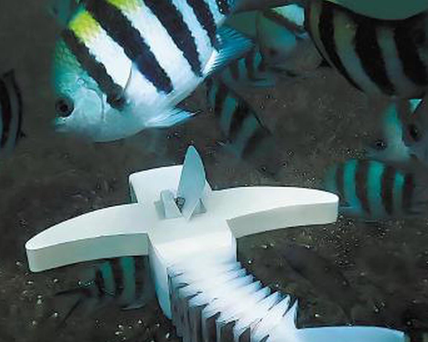 Breakthrough could deepen sea research