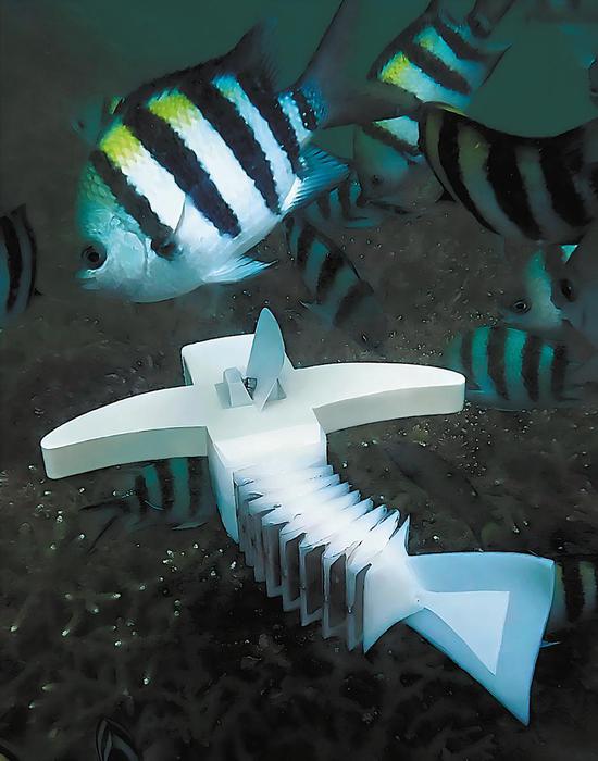 The soft robot is tested in the sea. (CHINA DAILY)