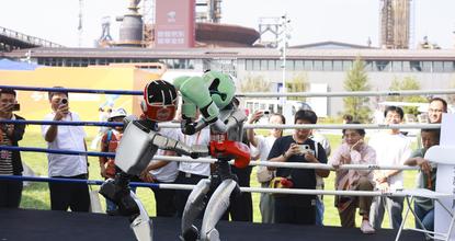 Sports service exhibition highlighted at 2025 CIFTIS
