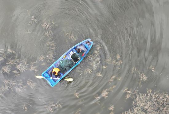 Freshwater crabs hit the market in northwest China's Yinchuan