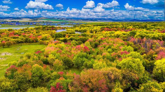 Autumn scenery in N China's Ergun