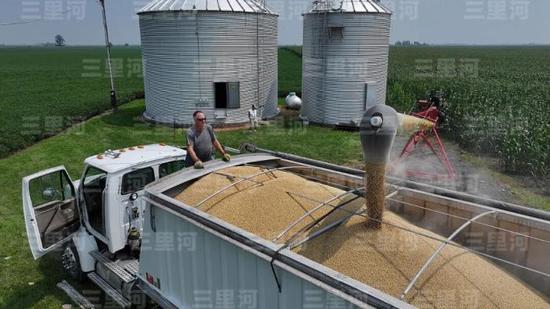 A soybean farmer in Illinois load soybeans. (Photo/China News Service)