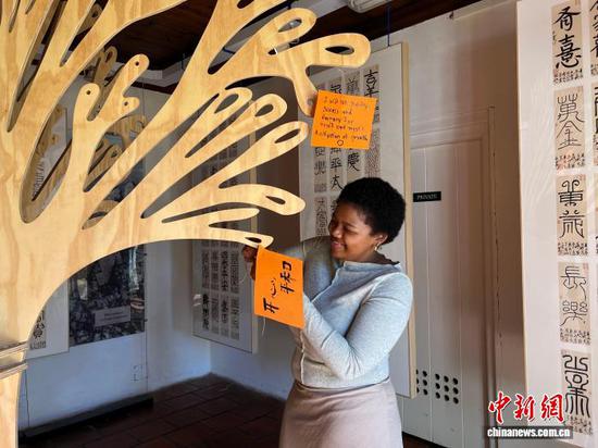 Chinese learning opens 'cultural window' for South Africans