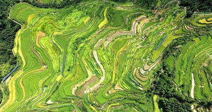 Scenery of terraced fields in S China's Guangxi