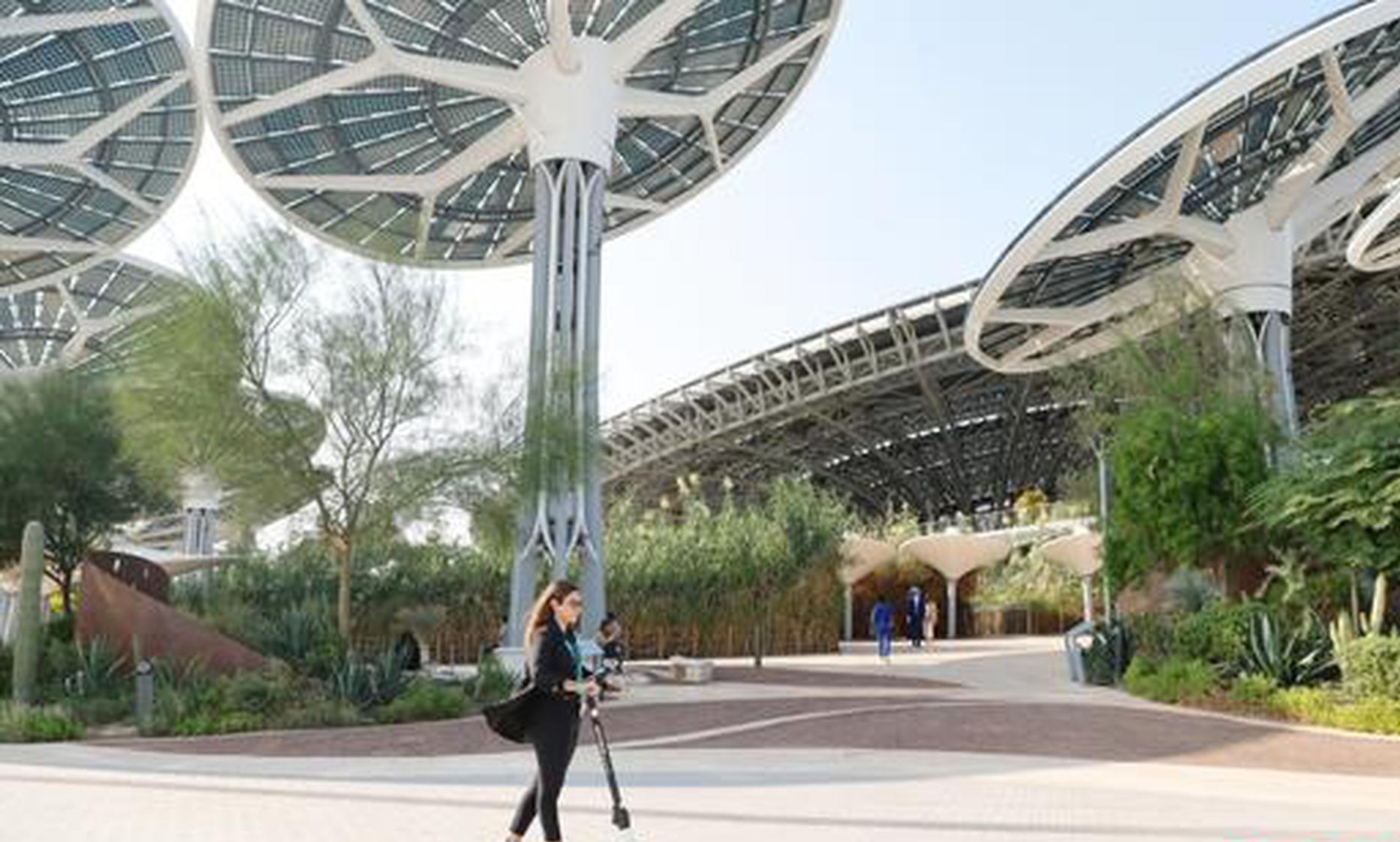 Middle East rises in popularity as overseas study destination