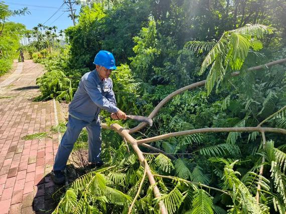 Authorities in Wanning city, Hainan province, organize crews to remove hazardous vegetation to prevent fallen trees from bringing down power lines and utility poles. (Photo provided to chinadaily.com.cn)