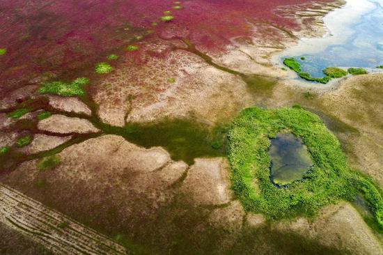 World Coastal Forum 2025 convenes in Yancheng