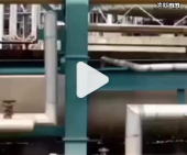 Toxic gas leak leaves 5 dead in Henan