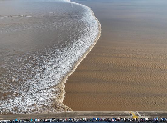 Qiantang River enters best tide-viewing season