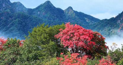 Exploring stunning autumn scenery on Cuihua Mountain in northwest China
