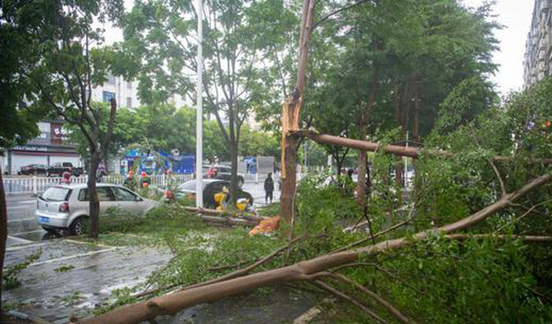 China ramps up relief for Guangxi, Yunnan as Typhoon Matmo hits