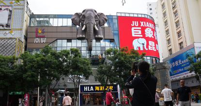 Elephant-themed art installation draws crowds in SW China