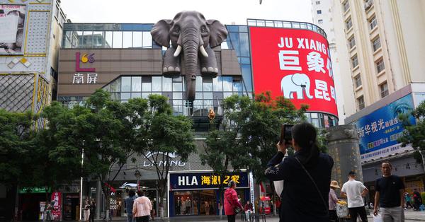 Elephant-themed art installation draws crowds in SW China