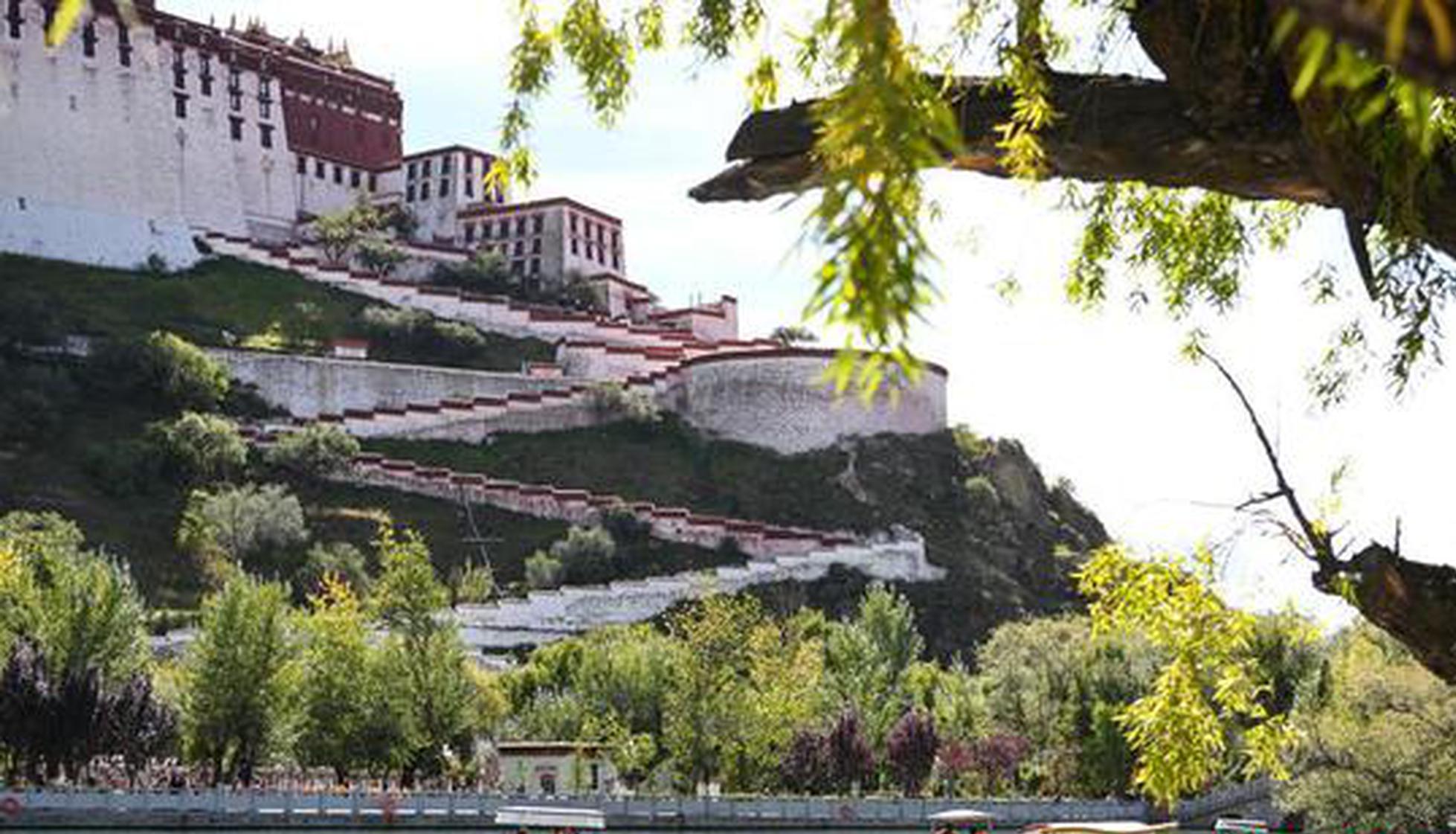 Think tank report highlights rural development, cultural inheritance in China's Xizang