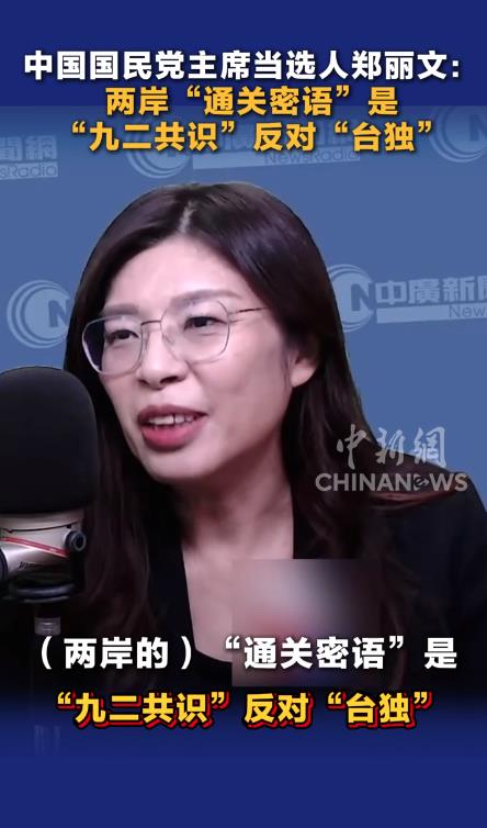 Cheng Li-wun. (Photo / Screenshot)