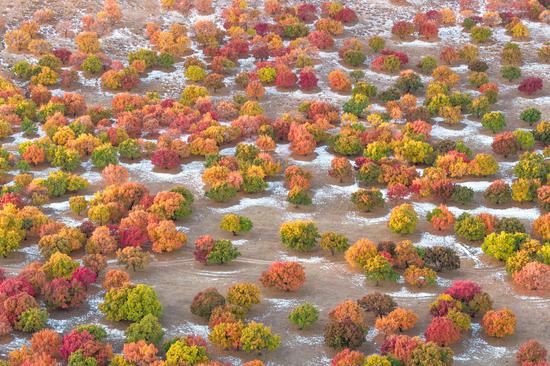 Stunning autumn scenery of Hinggan League in Inner Mongolia