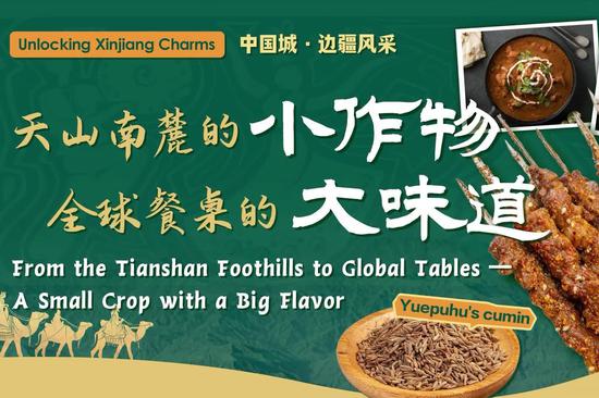Unlocking Xinjiang Charms | From the Tianshan foothills to global tables — a small crop with a big flavor