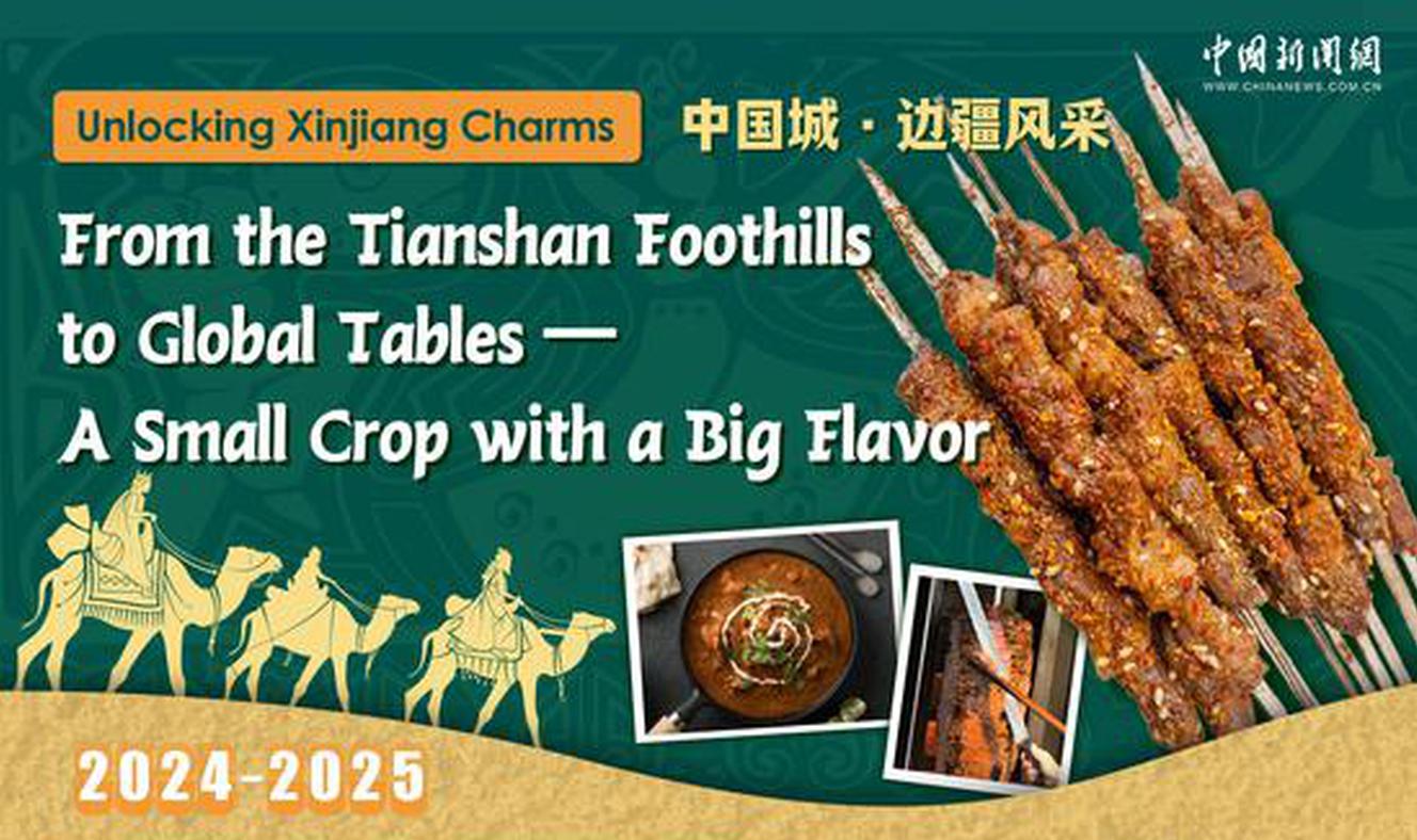 Unlocking Xinjiang Charms | From the Tianshan Foothills to Global Tables — A Small Crop with a Big Flavor